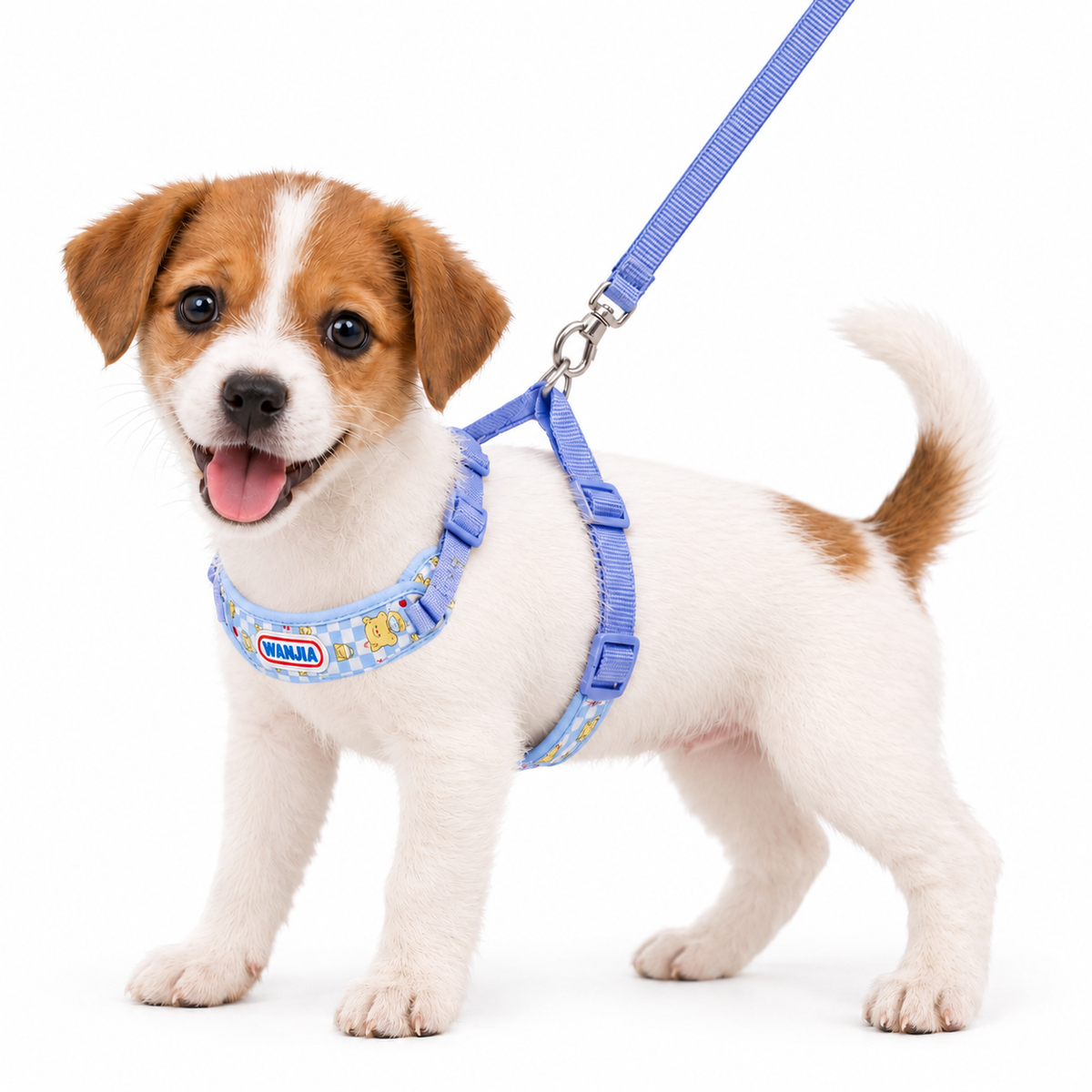 صديري للكلاب الصغيرة مبطن قابل للتعديل، بدون ليش ناعم وجيد التهوية